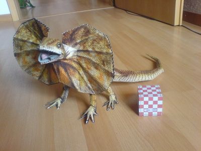 LÃ©zard Ã  collerette - avant
LÃ©zard de chez MB crÃ©ation.
vraiment simple (niveau 1/5) et rÃ©aliste (papier en relief)
