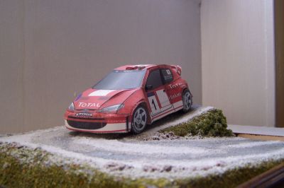 peugeot 206 WRC
voici la peugeot 206 WRC de chez saturn 
la photo est prise sur un dioarama a mon pÃ©re
