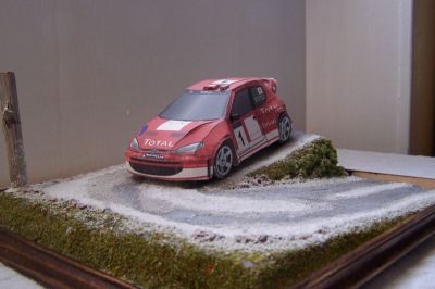 peugeot 206 WRC
voici une vue plus grand 
