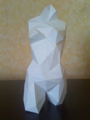 Une Venus
(vue de face)
