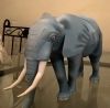 Filename=Elephant01.jpg
Filesize=478KiB
Dimensions=1862x1840
Date added=Jan 24, 2016 Elephant01.jpg
